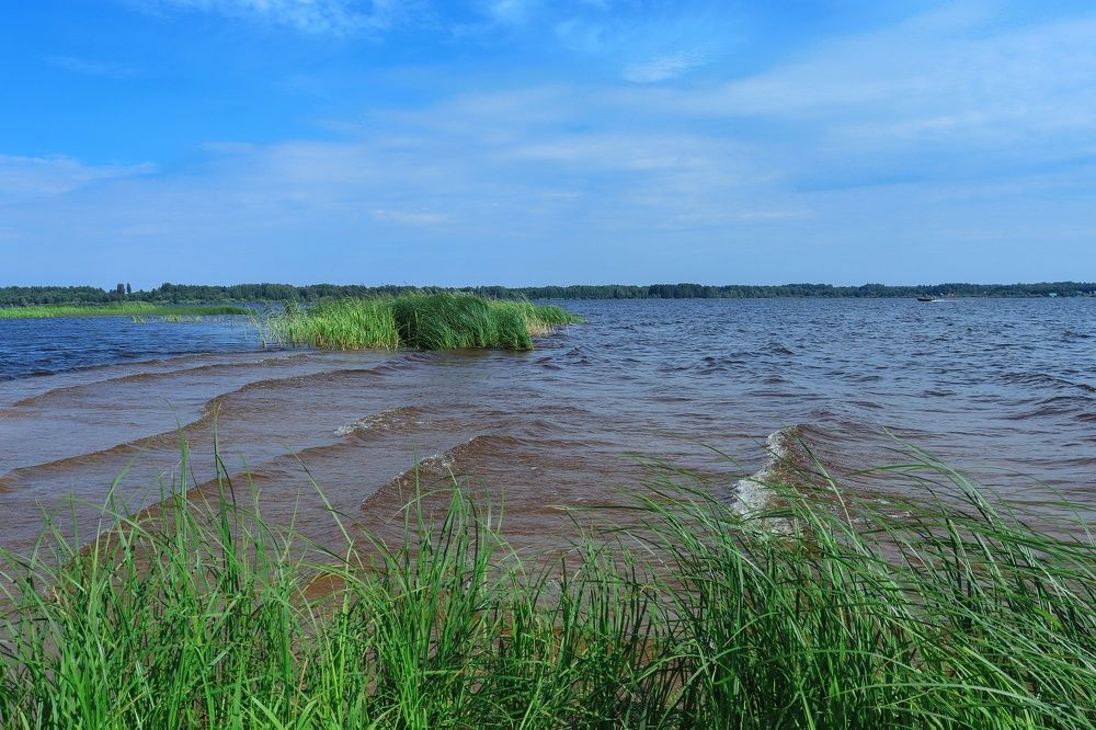 Photograph by Лидия Чугришина