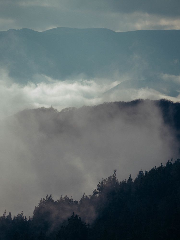 Photograph by Степанец Дмитрий