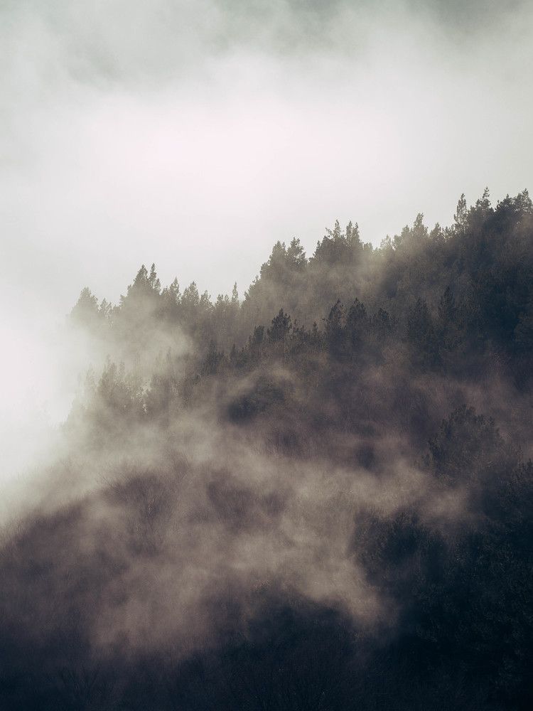 Photograph by Степанец Дмитрий