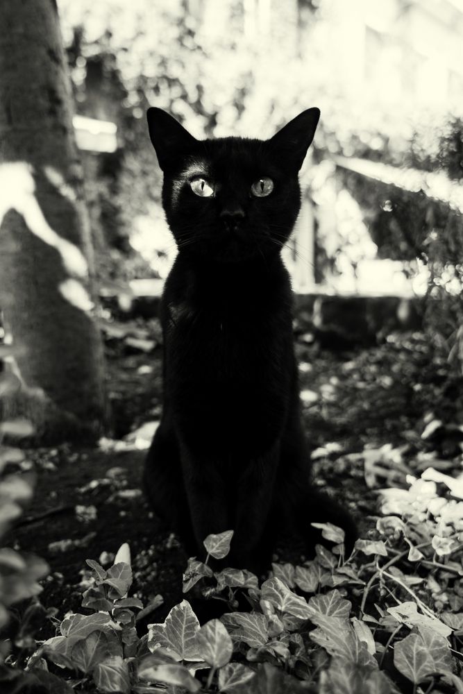 Photograph by Константин Хрустов