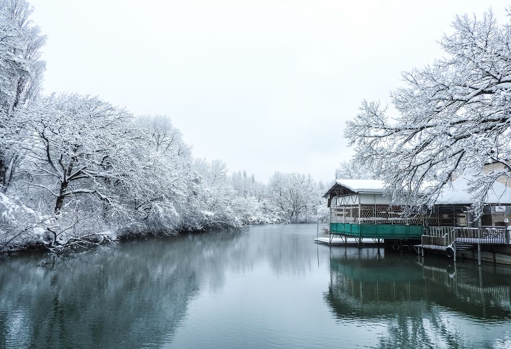 Photograph by Надежда Алешечкина