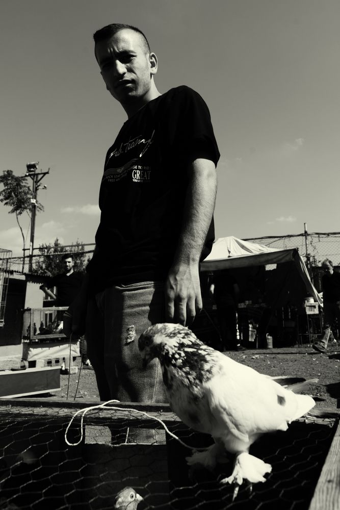 Photograph by Константин Хрустов