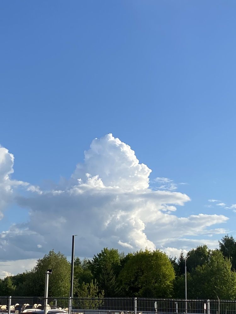 Photograph by Дарья Самойленко