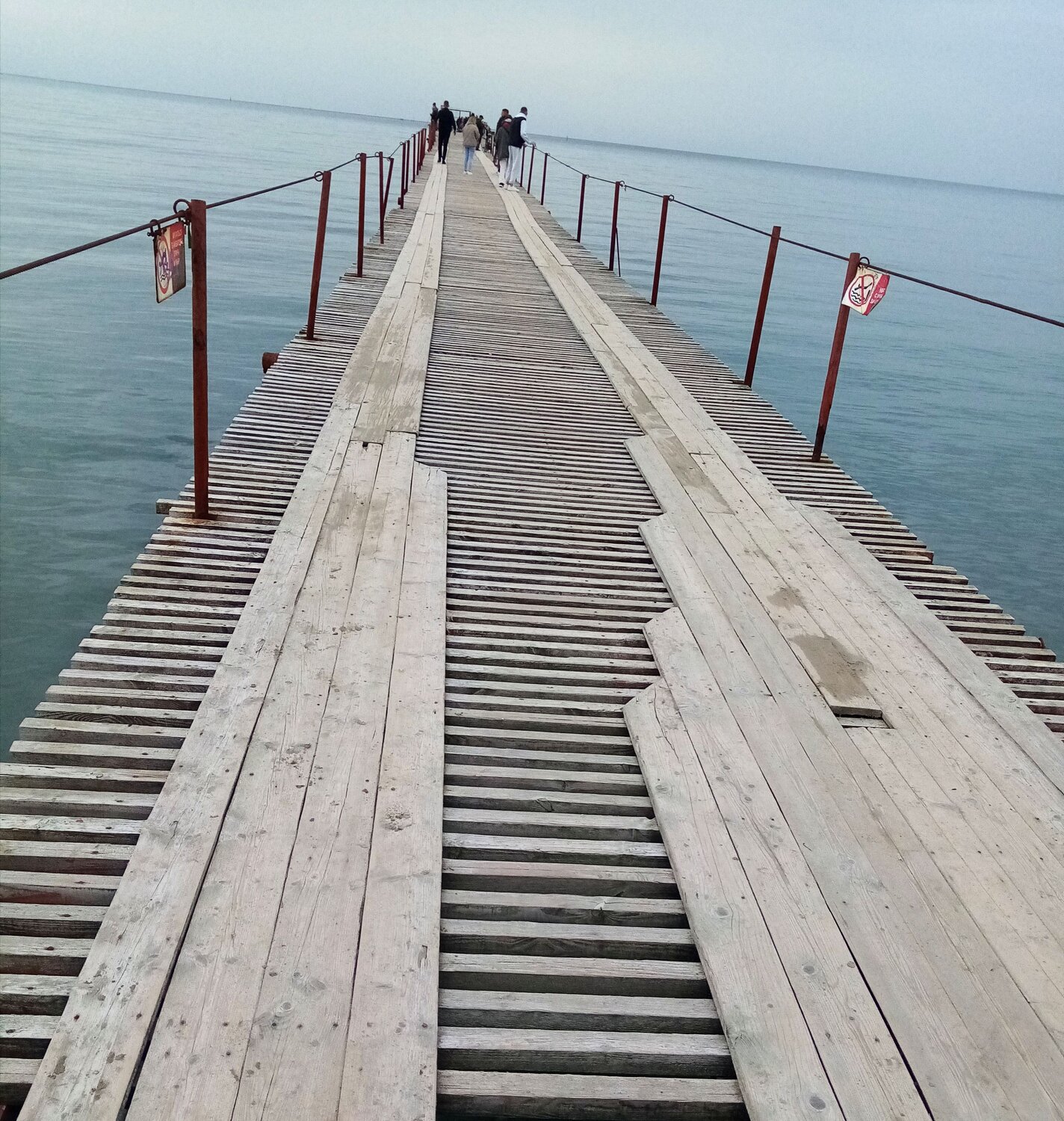 Photo #8399676