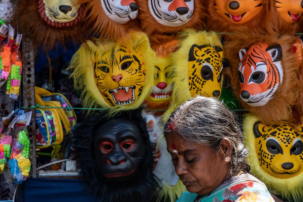 Photograph by Basavaraj M