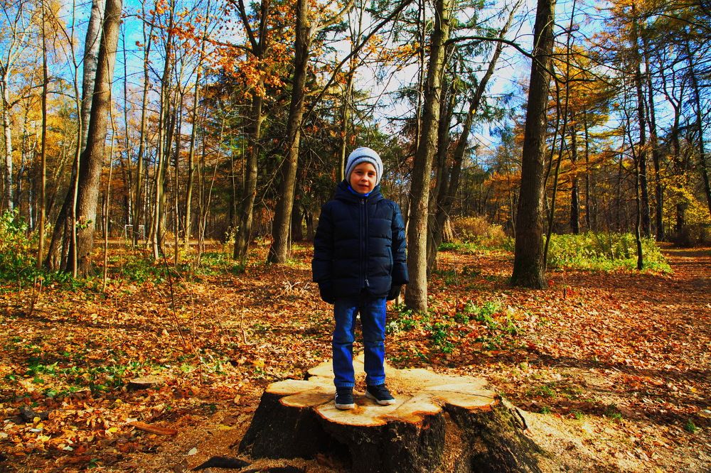 Photograph by Анатолий Протасов