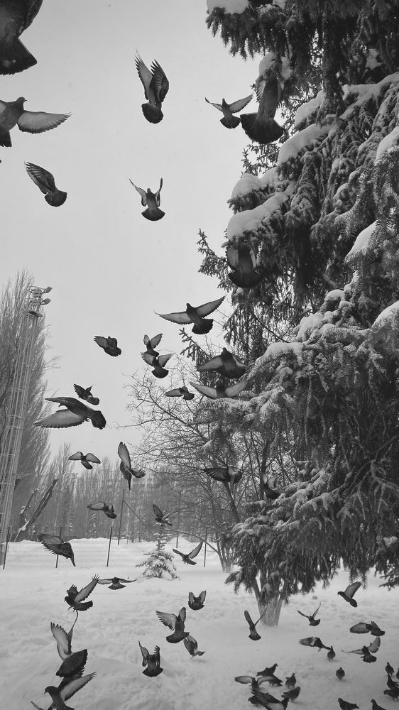 Photograph by Павел Панкратов