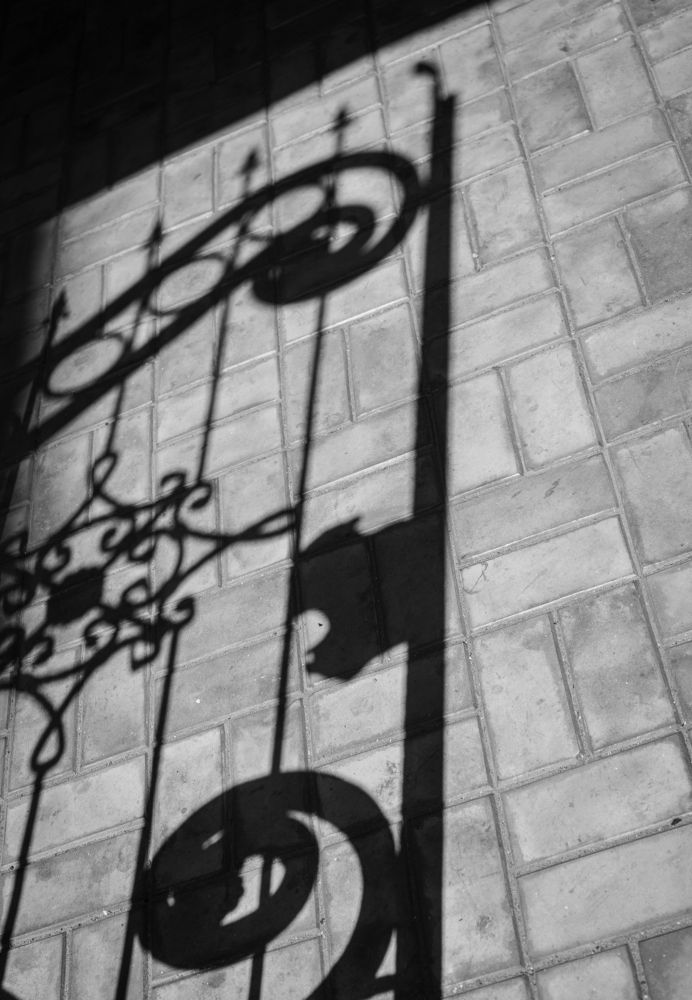 Photograph by Орехова Татьяна