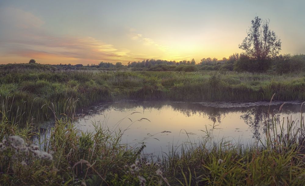 Photograph by Ольга Воронова