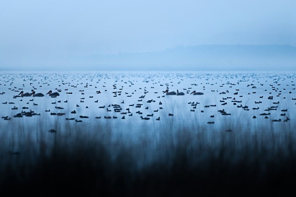 Photograph by kansara parth