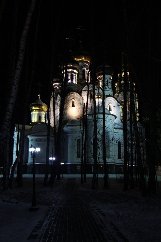 Фотография автора Виталий Дузь