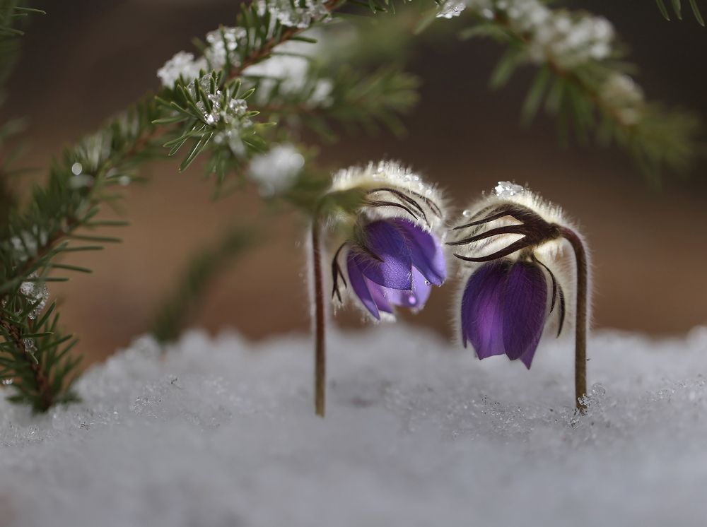 Photograph by Евгения Левина