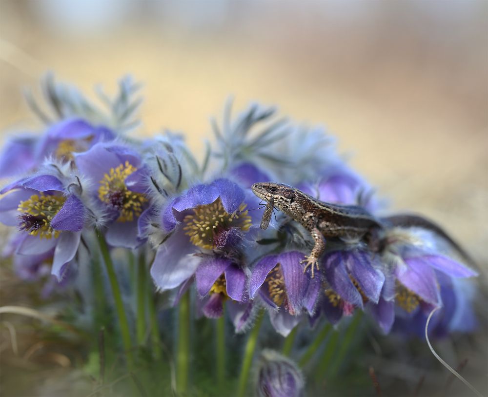 Photograph by Евгения Левина