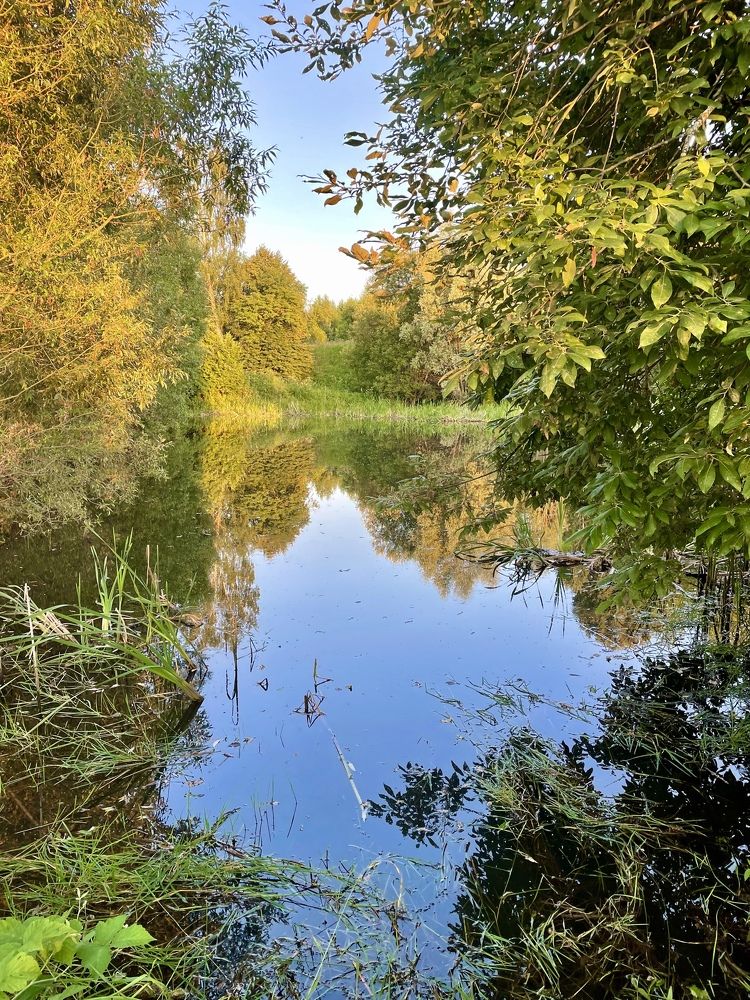 Photograph by Николай