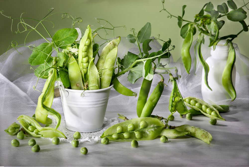 Photograph by Шруб (Беляева) Татьяна