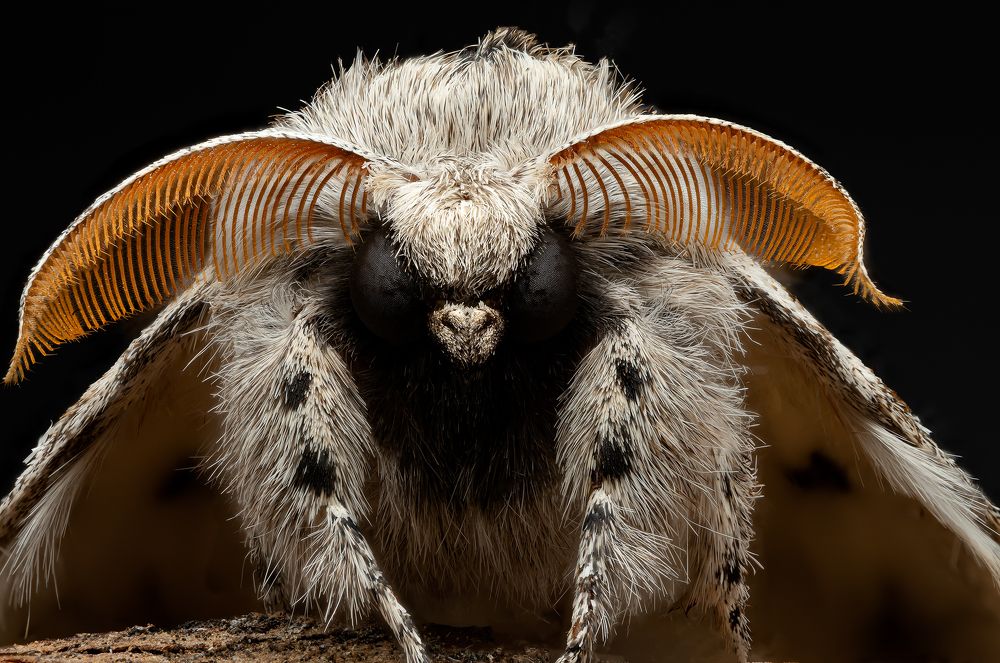 Photograph by Сергей Зелинский