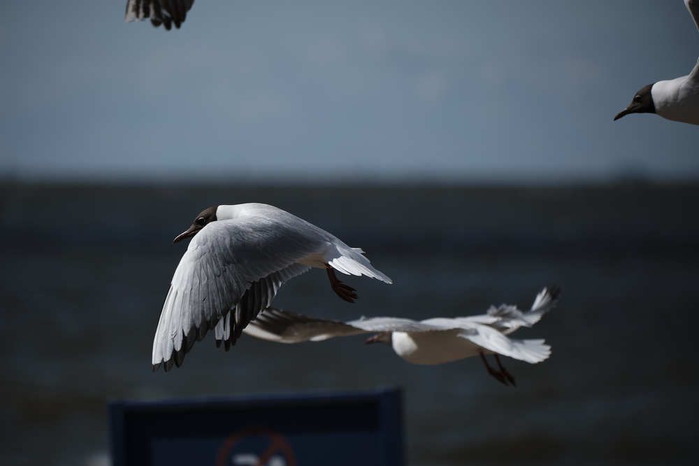 Photograph by Иван Державин