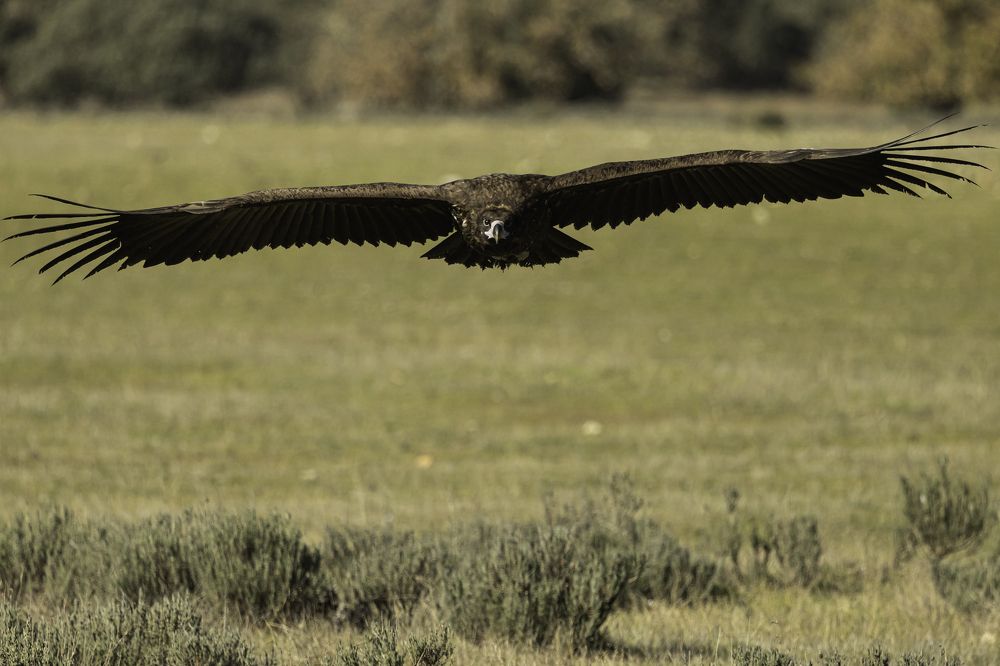 Photograph by Edwin van der Meer