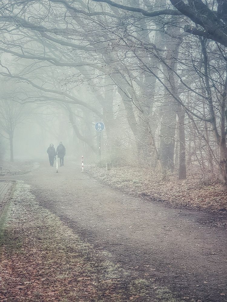 Photograph by Nelli Polle