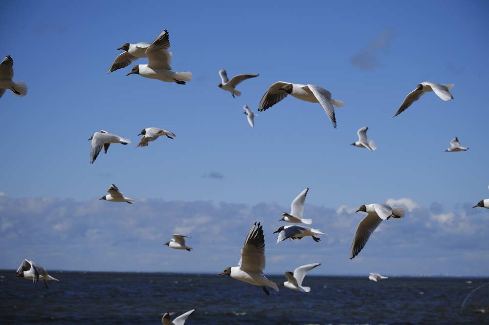 Photograph by Иван Державин