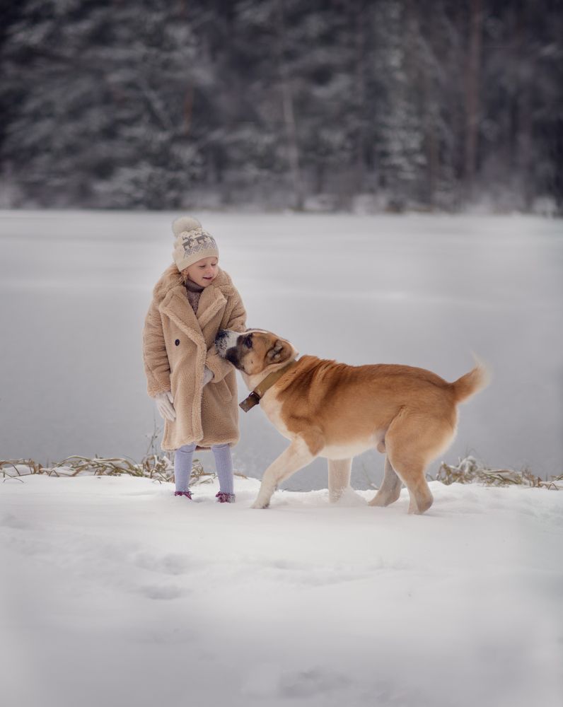 Дорога домой