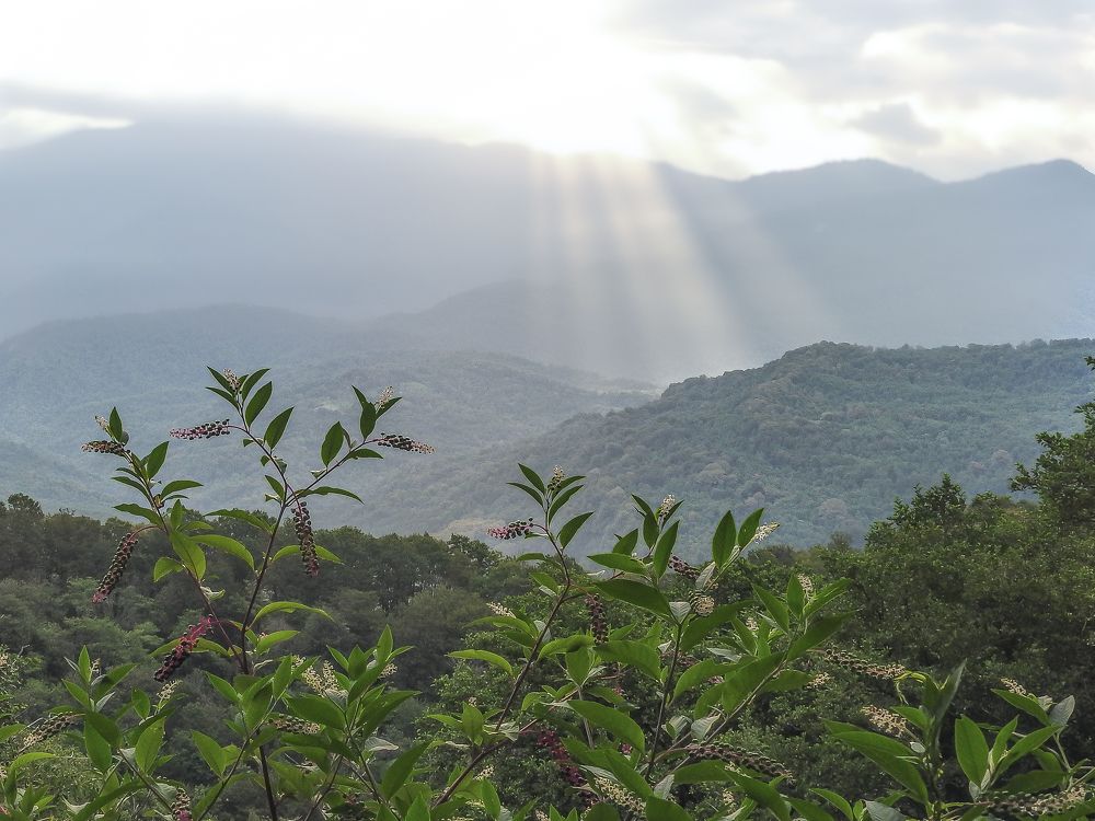 Photograph by Надежда Алешечкина