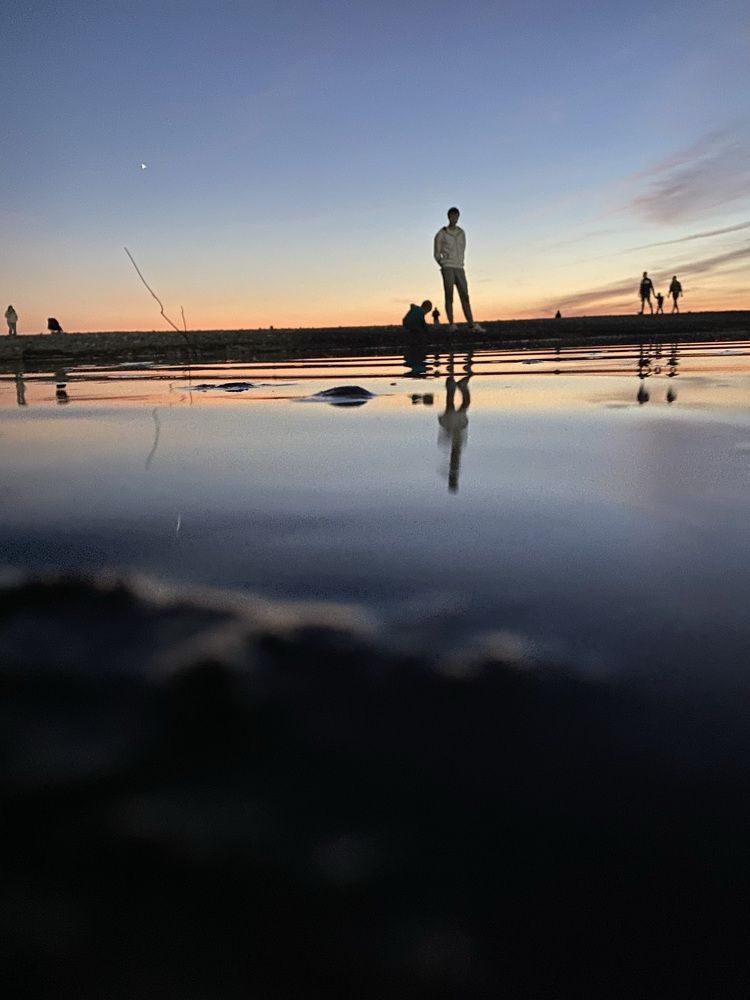 Photograph by Aleksandra