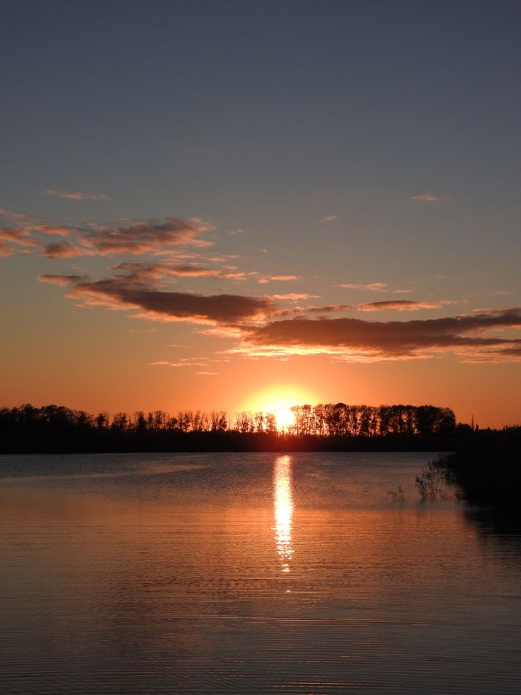 Photograph by Надежда Алешечкина