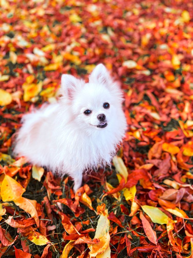 Фотография автора Маргарита