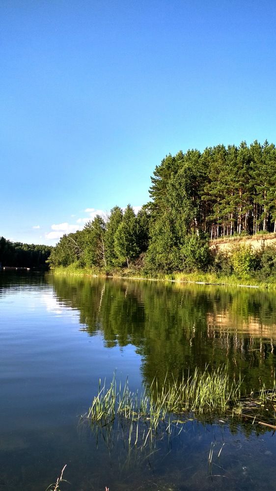 Photograph by Natalie Dmay