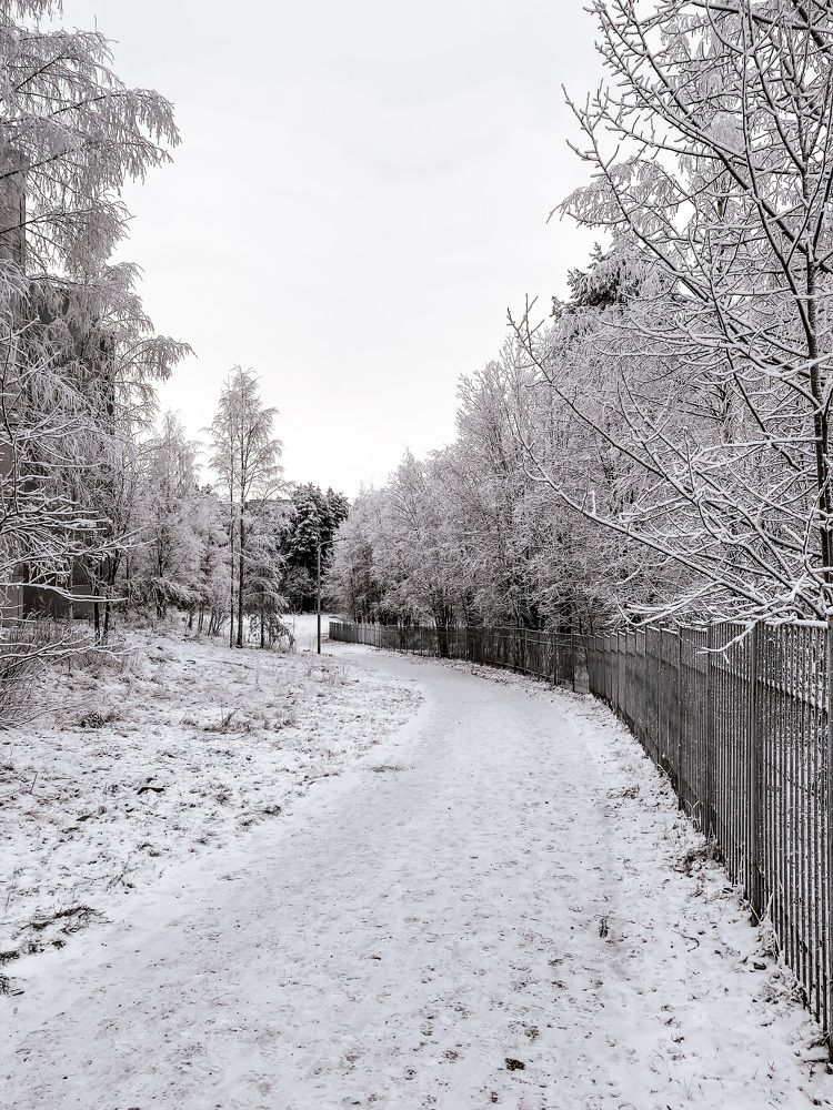 Photograph by София Макеева