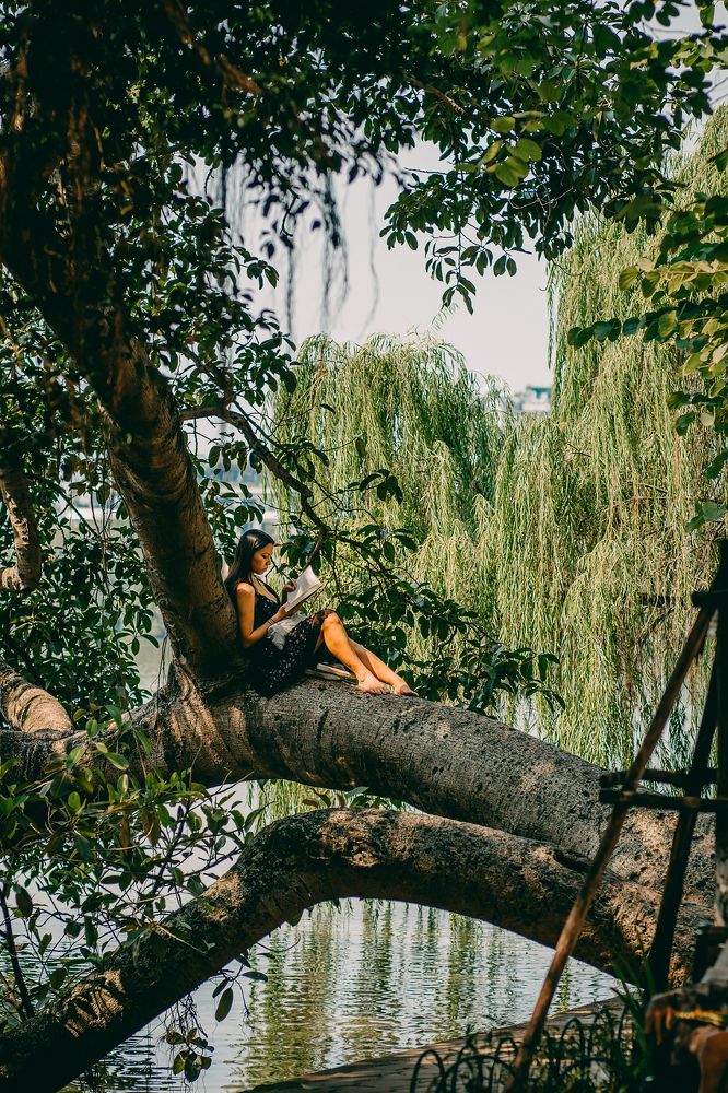 Photograph by Hung Le Thanh