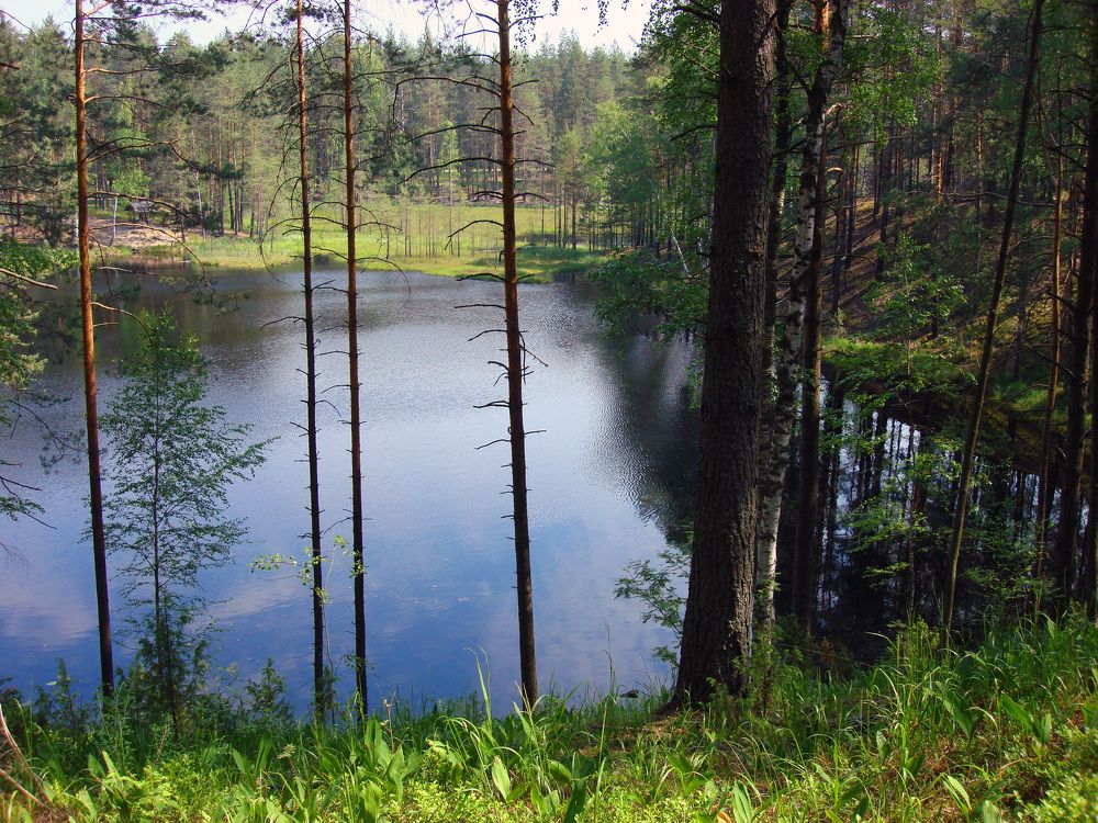 Photograph by Ольга Стоун