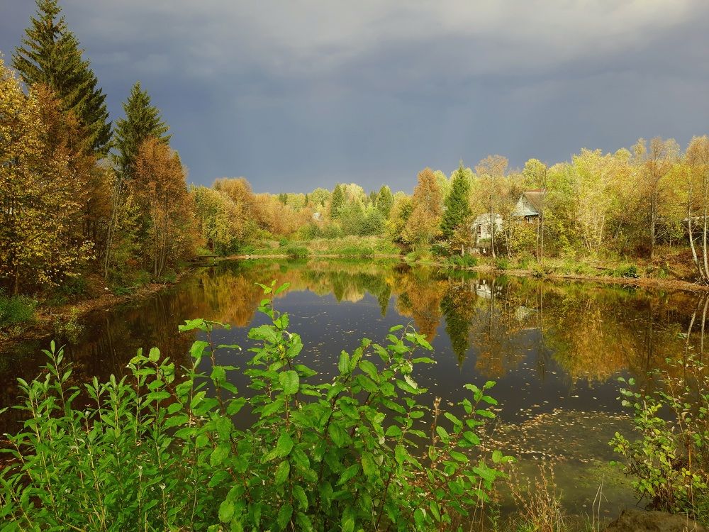 Фотография автора Ольга Кунакова