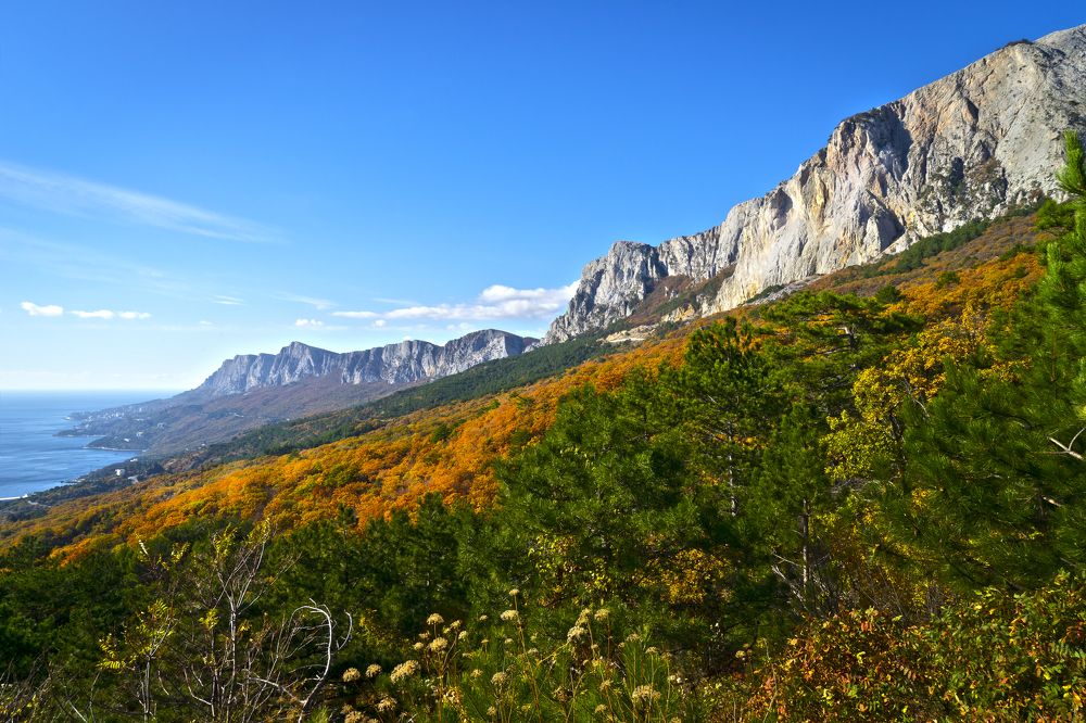 Photograph by Валерий Ситников