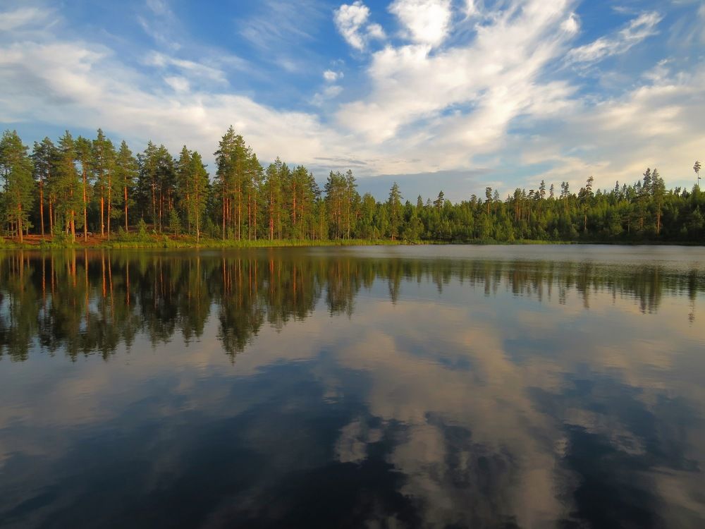 Photograph by Левин Арсений Андреевич