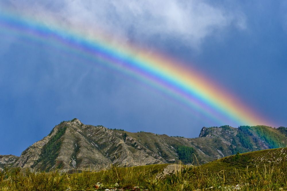 Photograph by Анатолий Стафичук