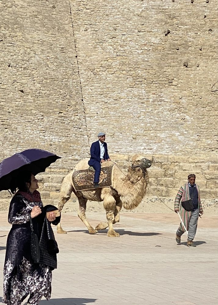 Фотография автора ГУЗАЛИЯ