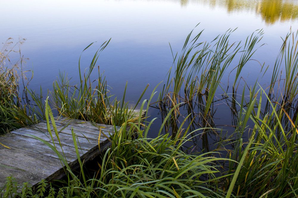 Фотография автора Нестеренко Светлана