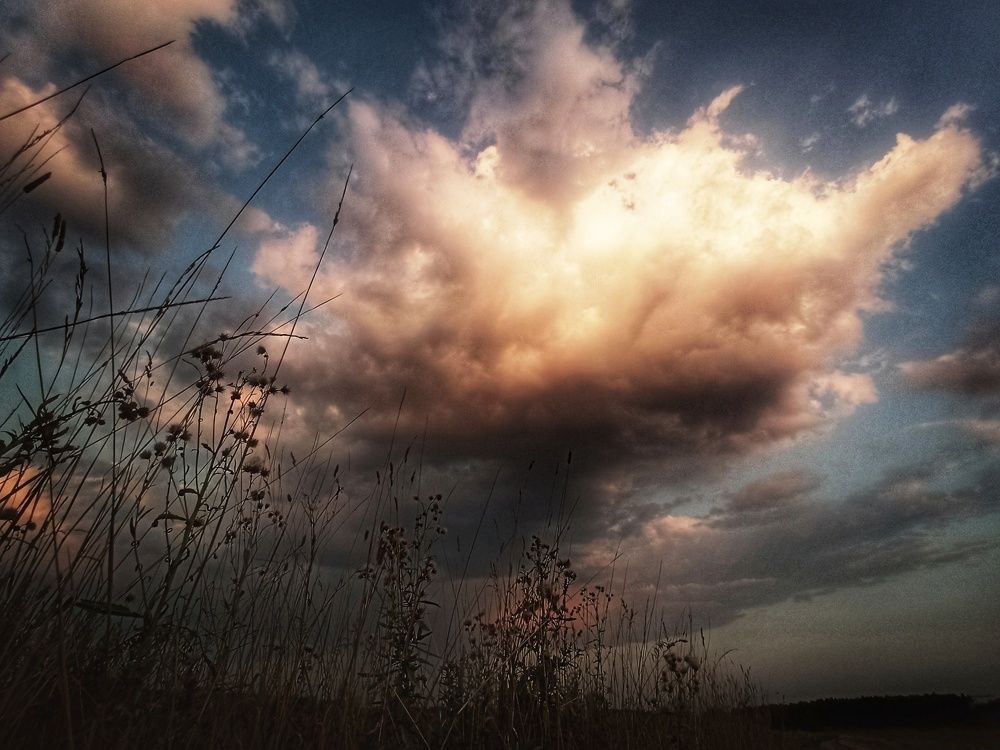 Photograph by Олеся Зеленщикова