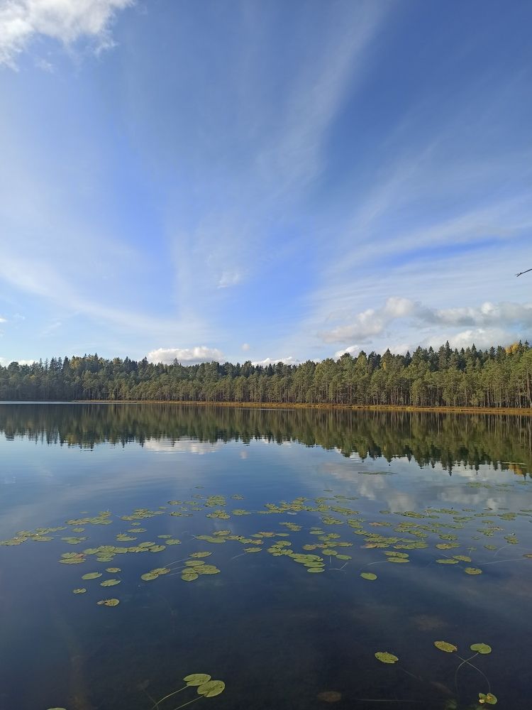 Photograph by Олеся Зеленщикова