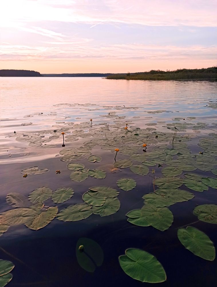 Photograph by Олеся Зеленщикова