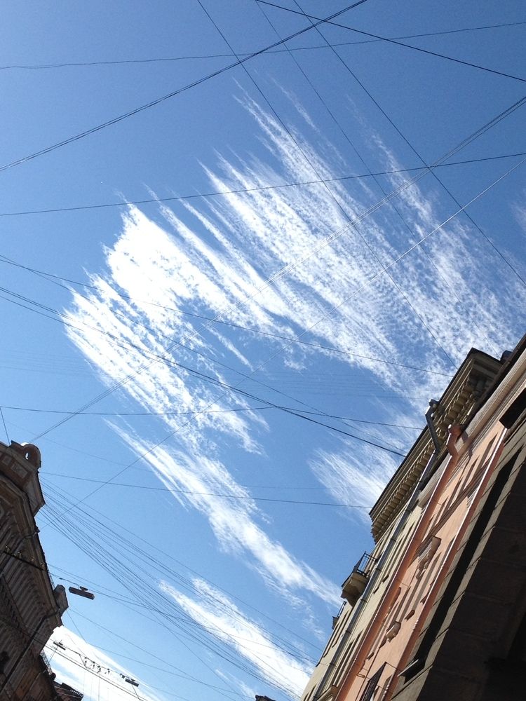 Photograph by Мария Бессмертная