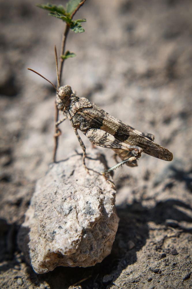Фотография автора Кристина Шефер