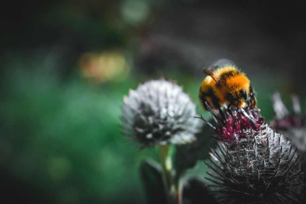 Фотография автора Кристина Шефер