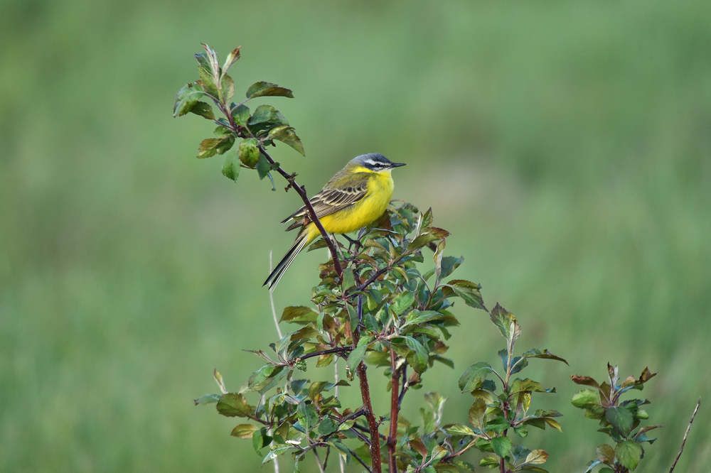 Photograph by Лариса Стрекулева