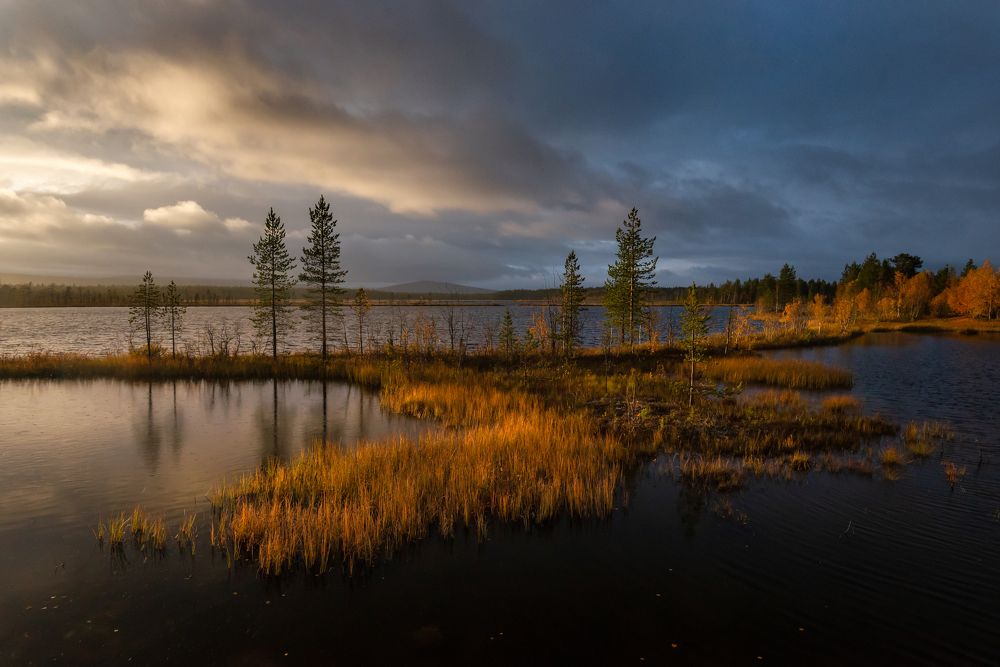 Photograph by Виктория Быкова