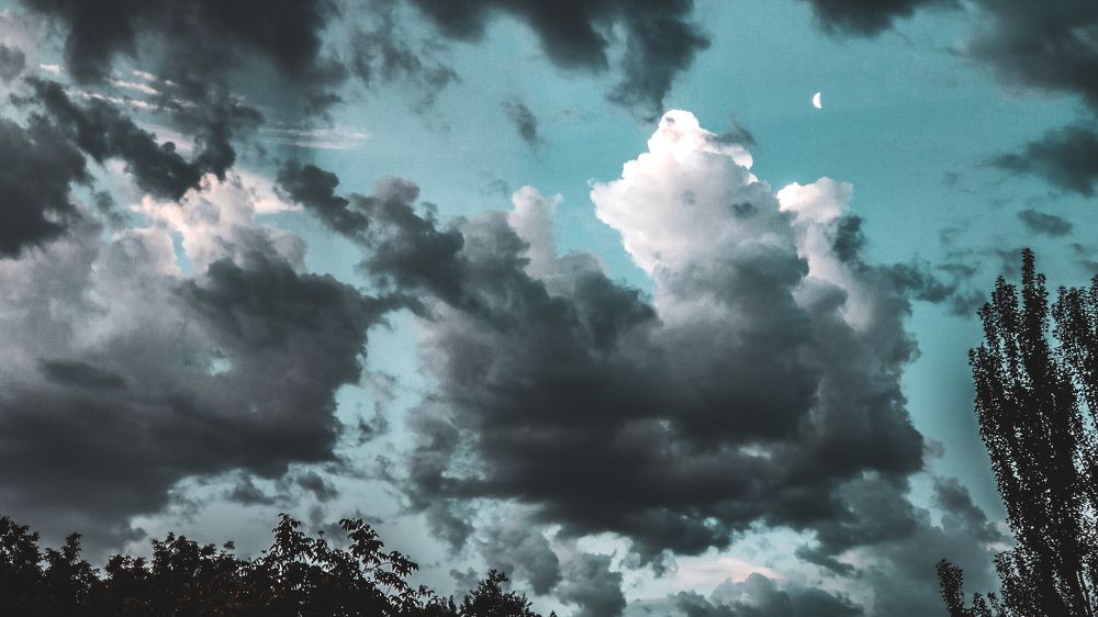 Фотография автора Кристина Шефер