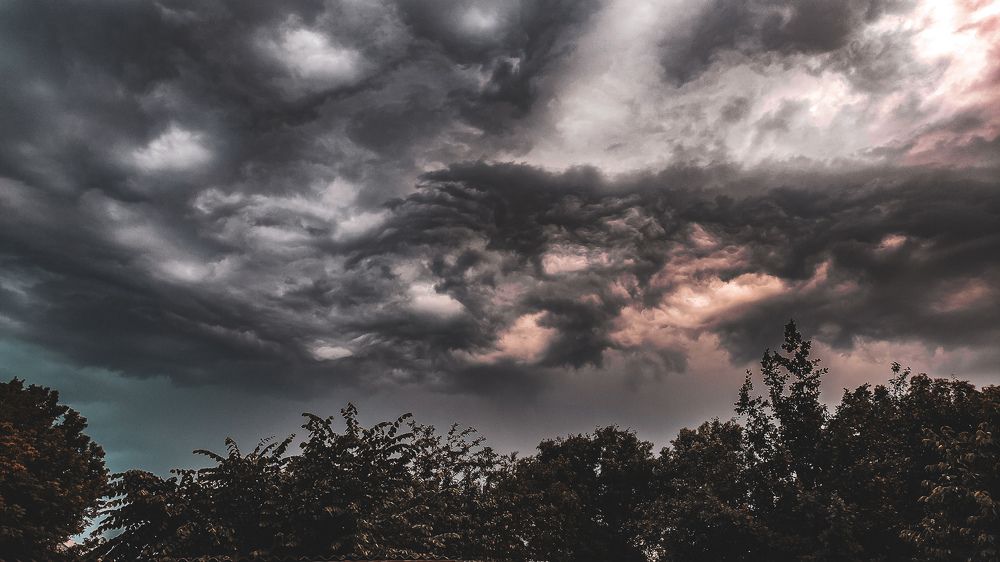 Фотография автора Кристина Шефер