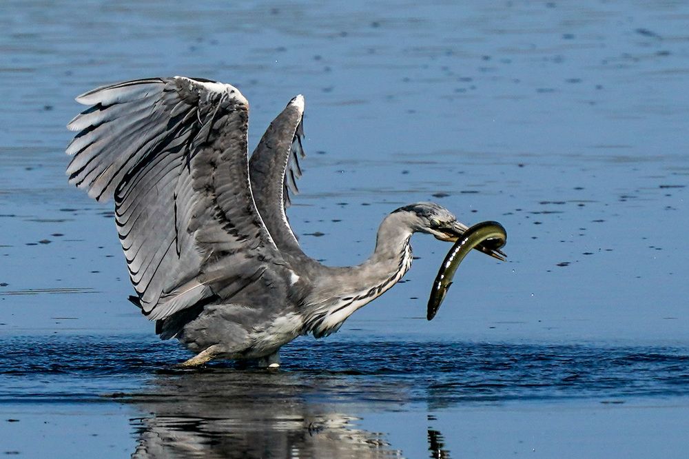 Фотография автора Jian Ma